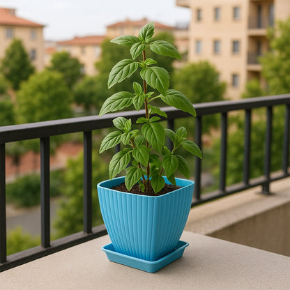 Set of 5 Square Decorative Plastic Flower Pots