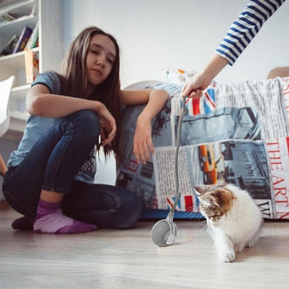 Paw Spin LED Tail Ball