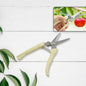 Garden pruning shears with anti-slip handle for trimming fruit trees.
