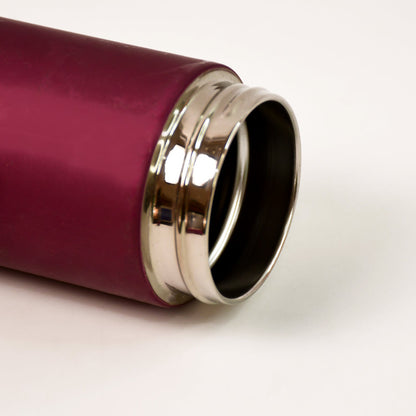 Stainless Steel Travel Water Bottle Approx 300ML(1 Pc)